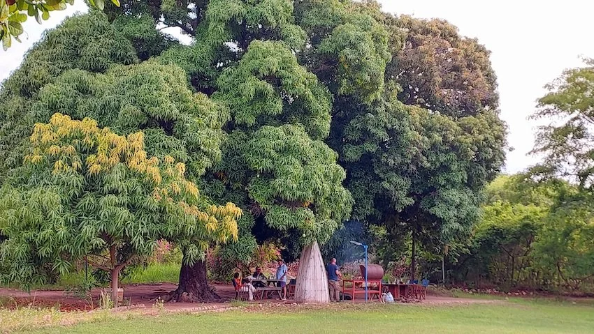 Campsite with braai.jpeg