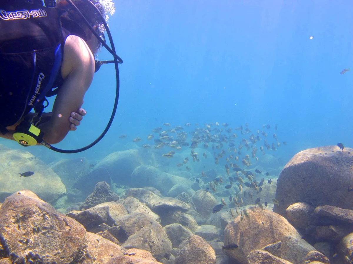 Lake Shore Lodge, Lake Tanganyika — Lake Shore Lodge Activities