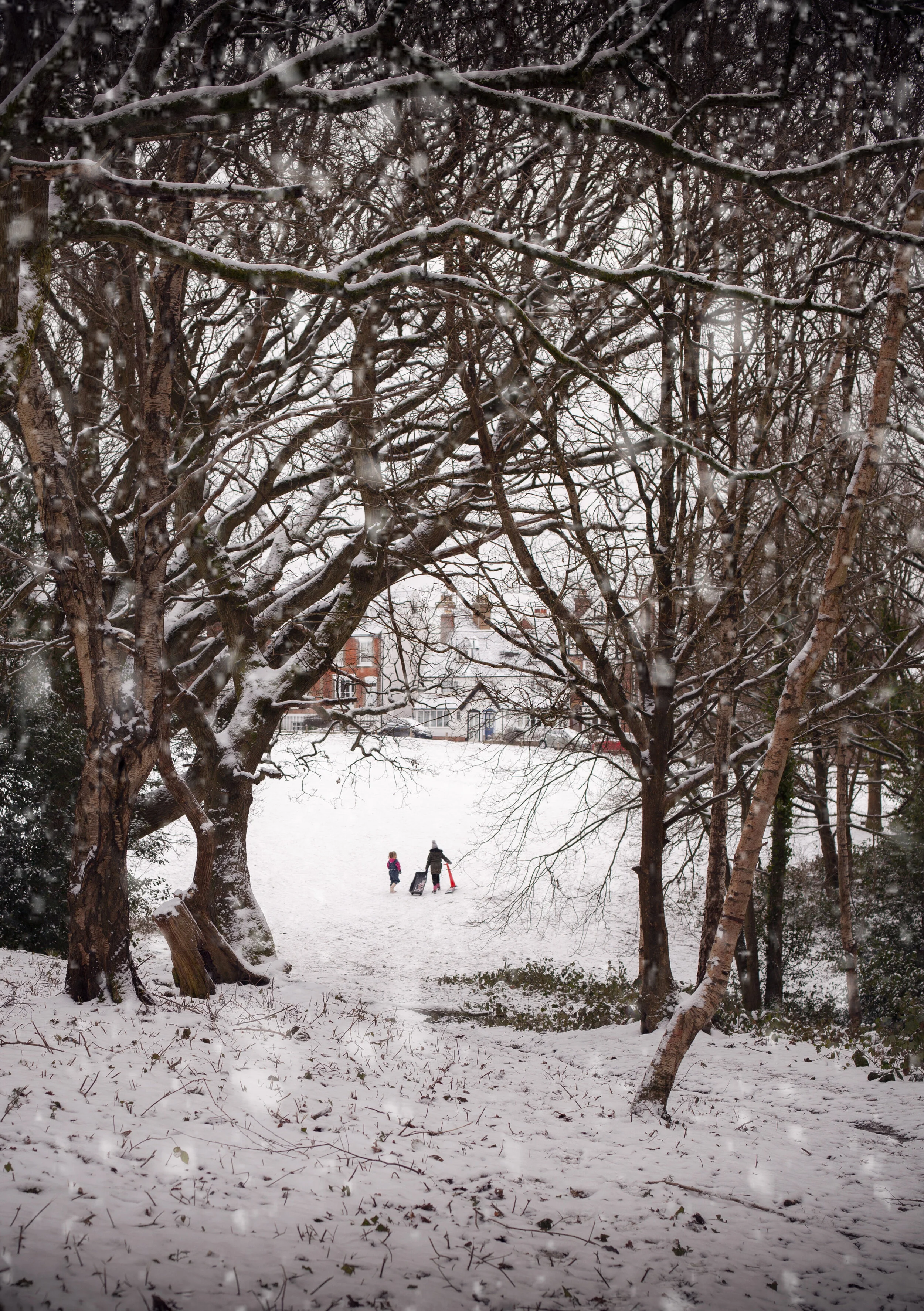 South of France Snow.jpg