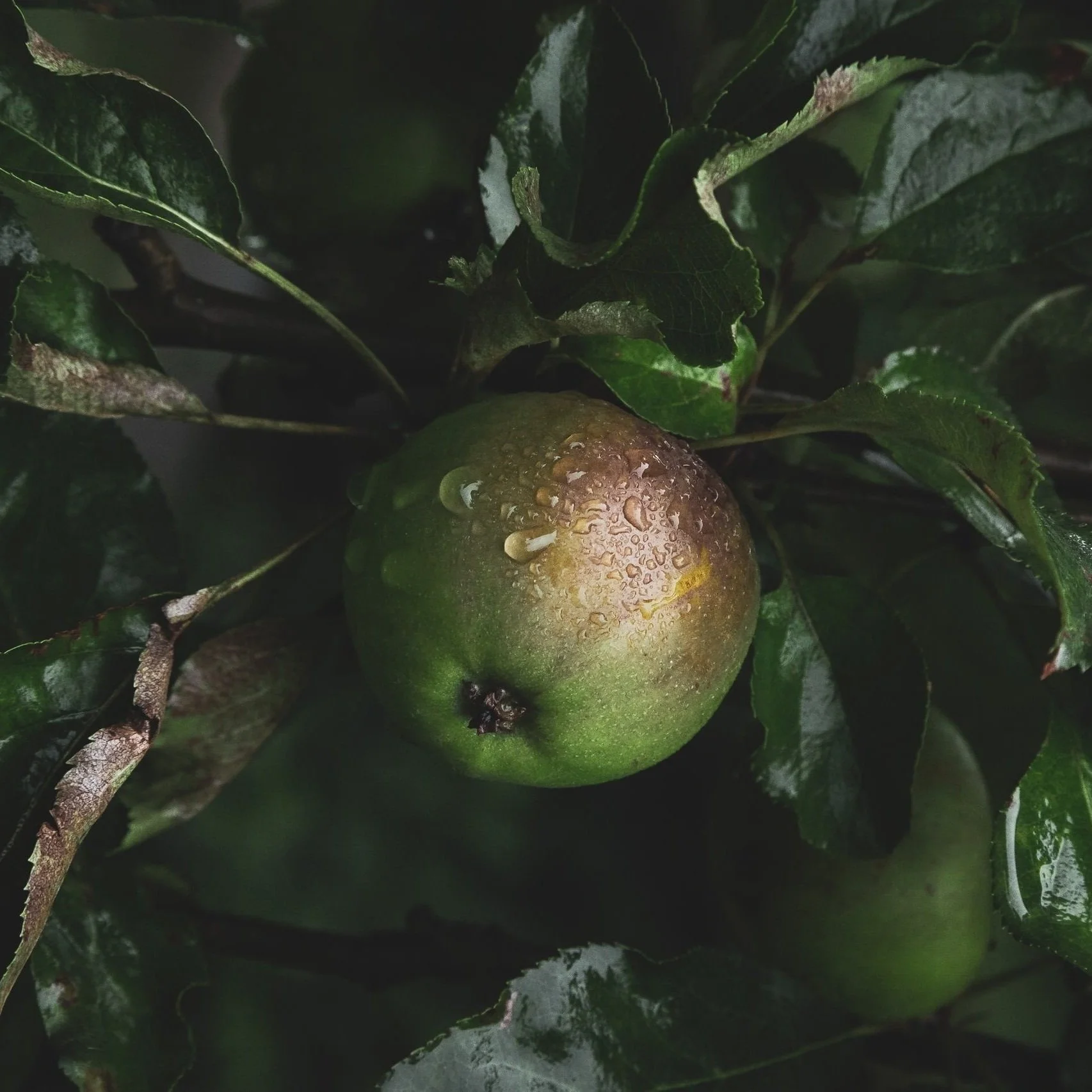 FATHERS & KNOWLEDGE (PT. 8)