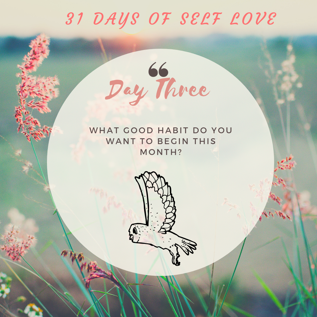 What is your biggest struggle with loving yourself_ (1).png