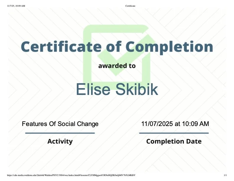 Features of social change.jpg