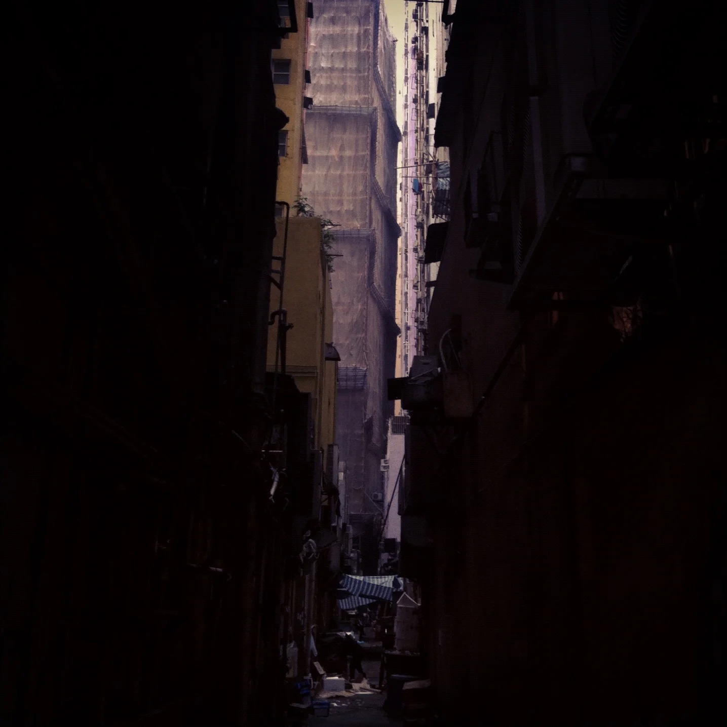 Hong Kong Homeliness (2013)