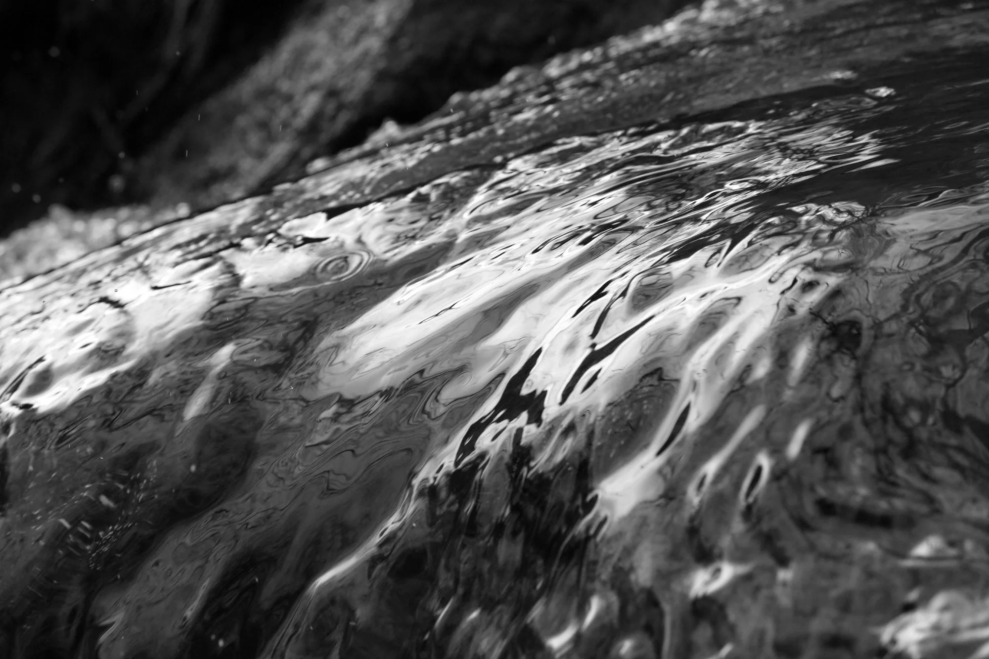 Ricky Leaver River Exe Flow Photo 2019