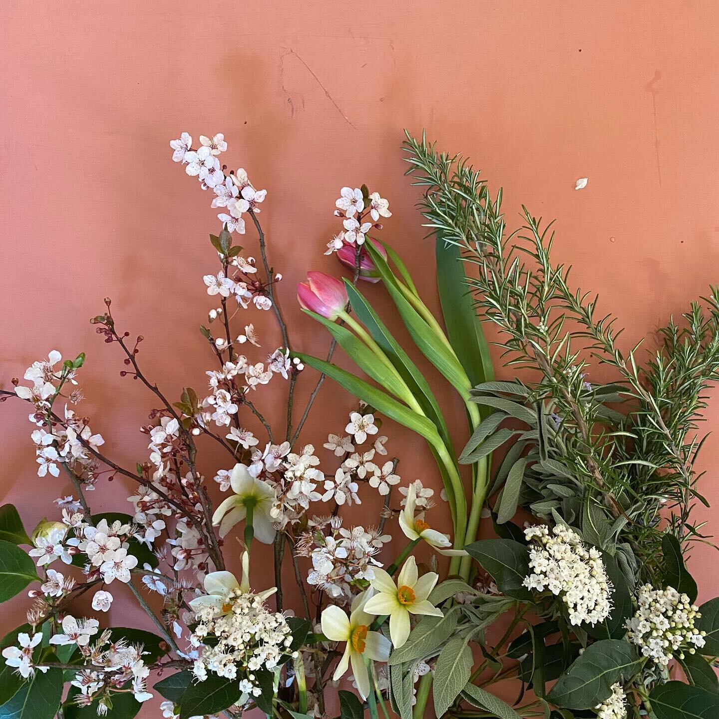 Really looking forward to running a workshop with @nin_yoga_uk in a few weeks. More details announced soon. Just love playing with spring flowers. #blossom #floristyworkshops #londonflorist #stylingtheseasons #moodforfloral #cherishandrelish_march #c