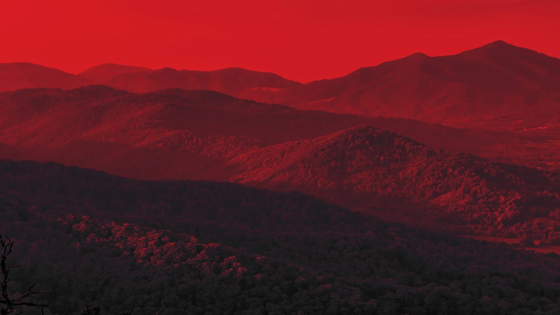 welcome_background.jpg