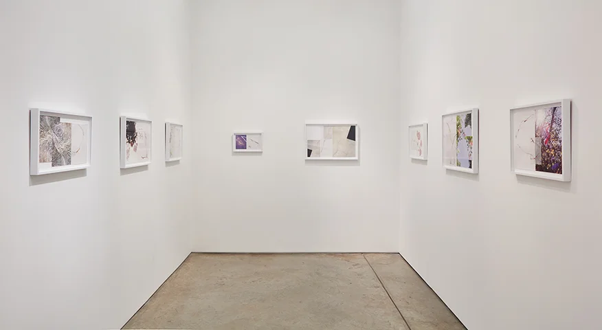 LineationsInstallation1.jpg