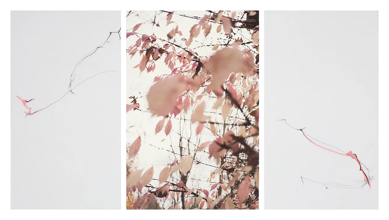 LF17_167 13x23