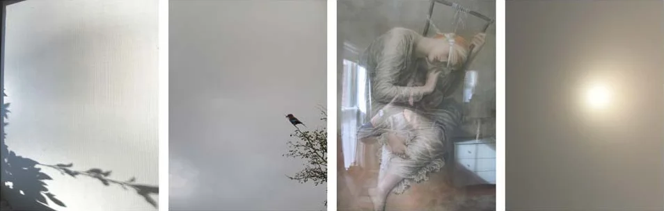 White Sun, 2011