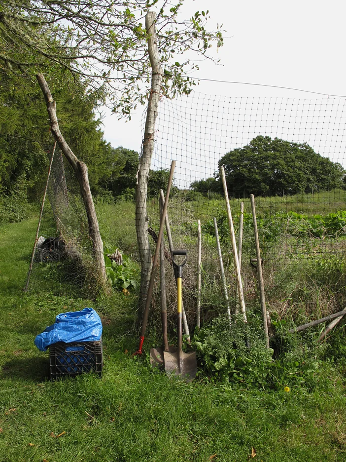 Blue tarp and tools