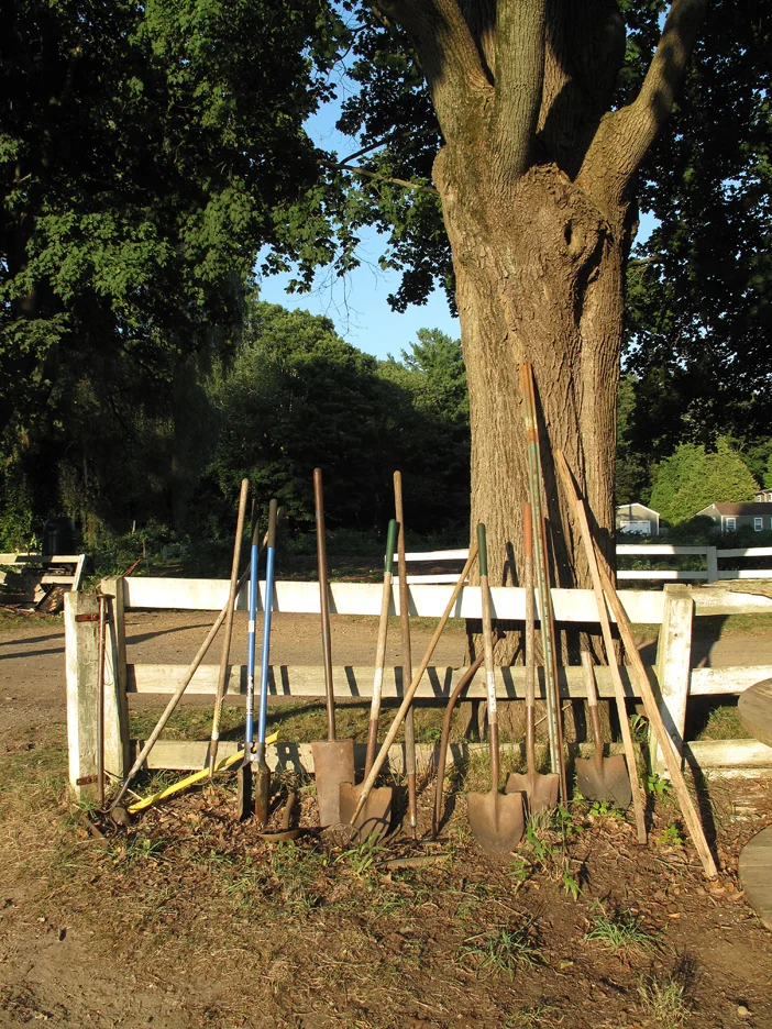 Garden tools at 6:00pm