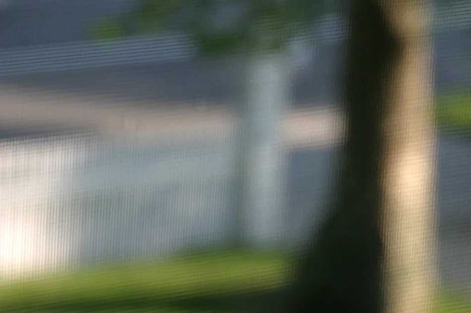 Picket Fence, 2005 – 22 x 33