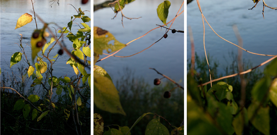 String Triptych, 2007 – 33 x 66