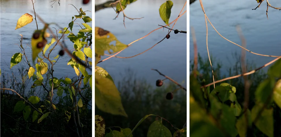 String Triptych, 2007 – 33 x 66