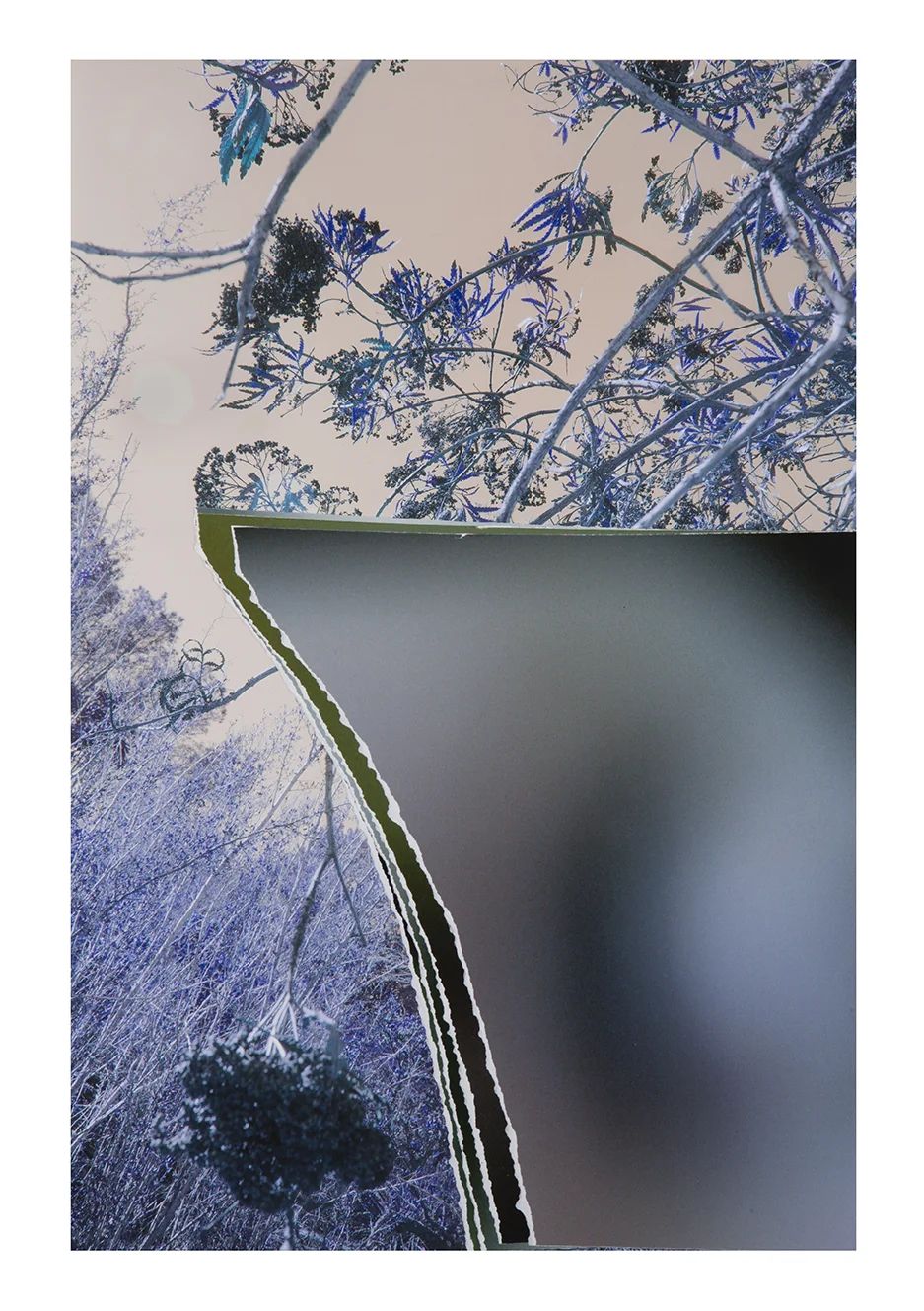 LC17_235 - 21 x 13.5