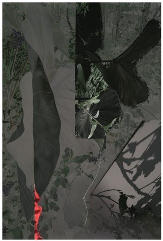 LIMITED EDITION PRINT #1 + THE CERTAINTY OF NOTHING