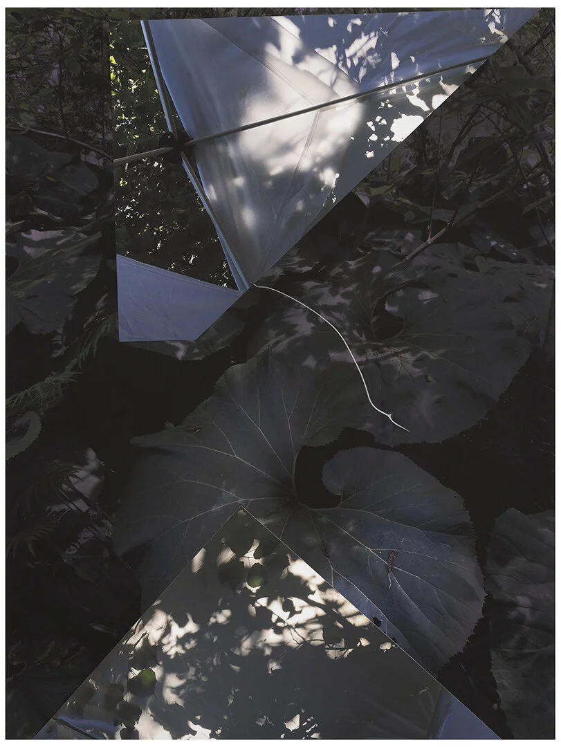 LIMITED EDITION PRINT #2 + THE CERTAINTY OF NOTHING