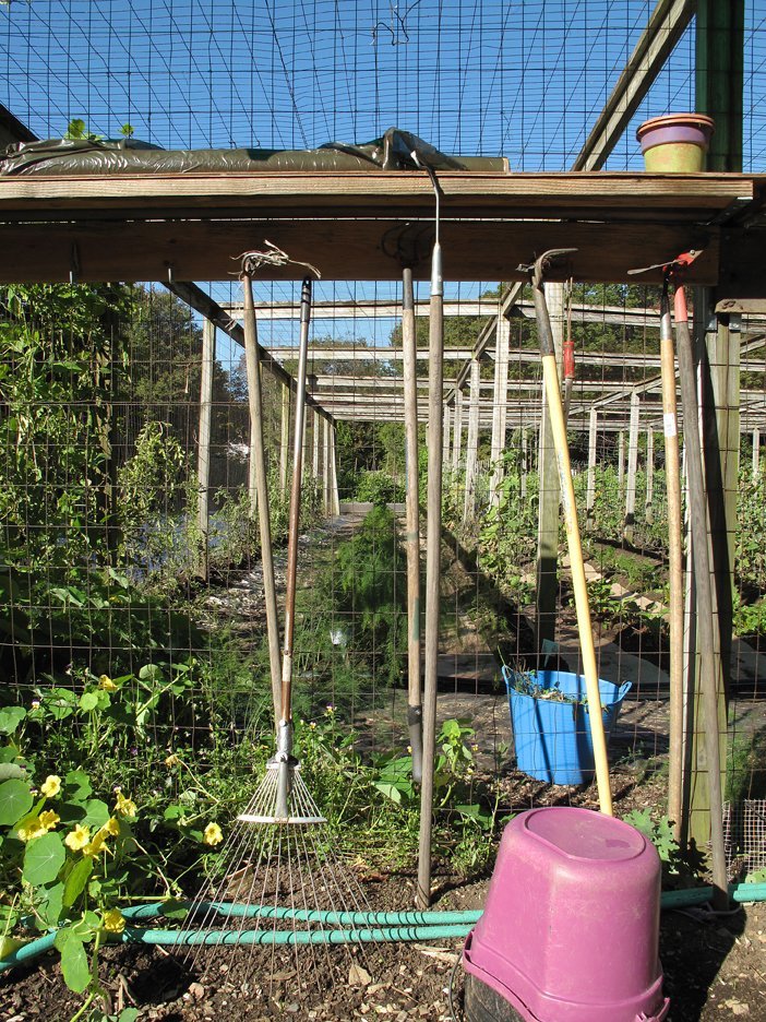 BETWEEN PLANTING AND PICKING