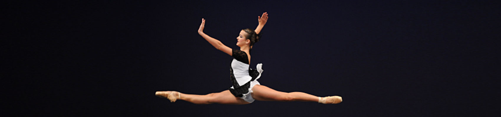Large-Image-3.jpg