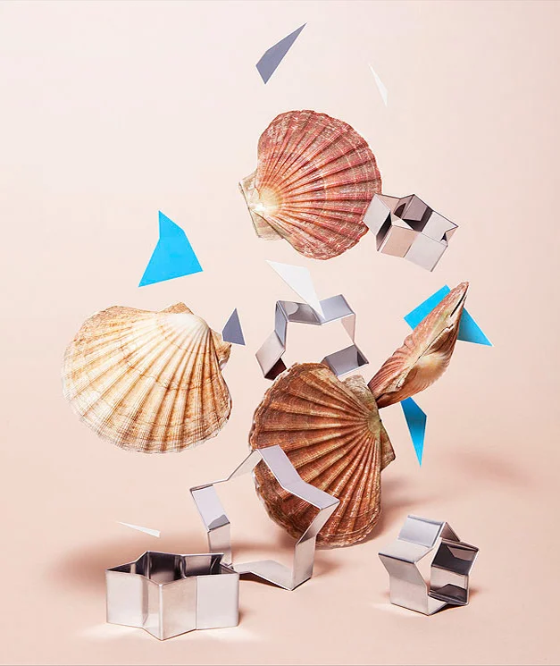 42_scallop-paper-final.jpg