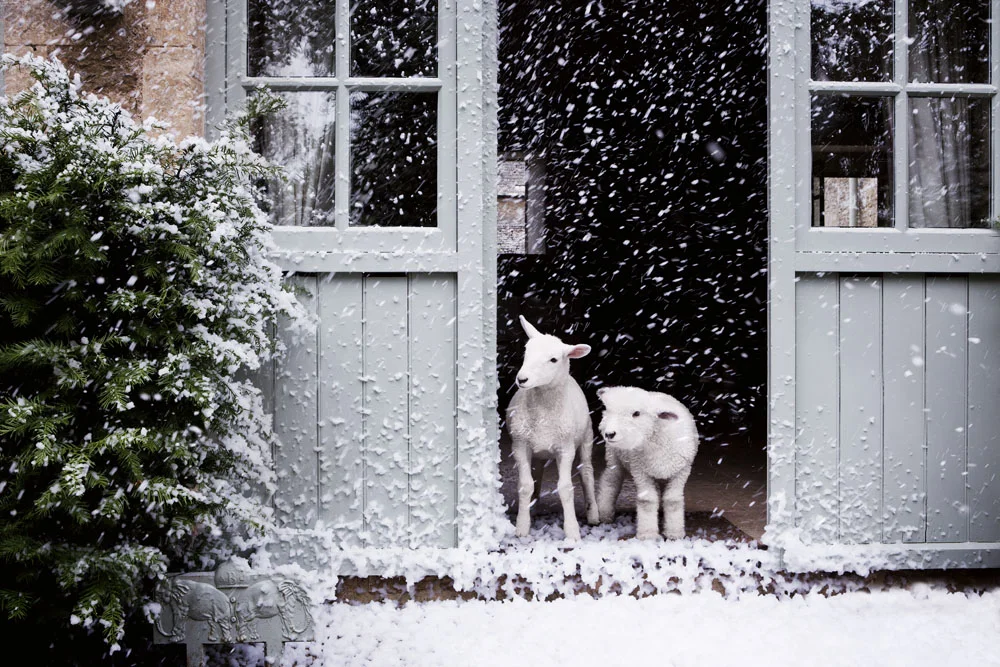Daylesford+Xmas_L4480.jpg