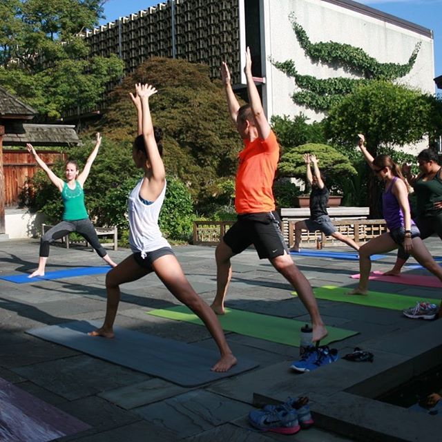 This weekend&rsquo;s forecast: Warm temps, sunshine, and a whole lot of yoga! Join us for the first class of our Summer Yoga Series among the bonsai. Click the link in our bio to reserve your spot for Saturday, or all four classes. See you on the mat