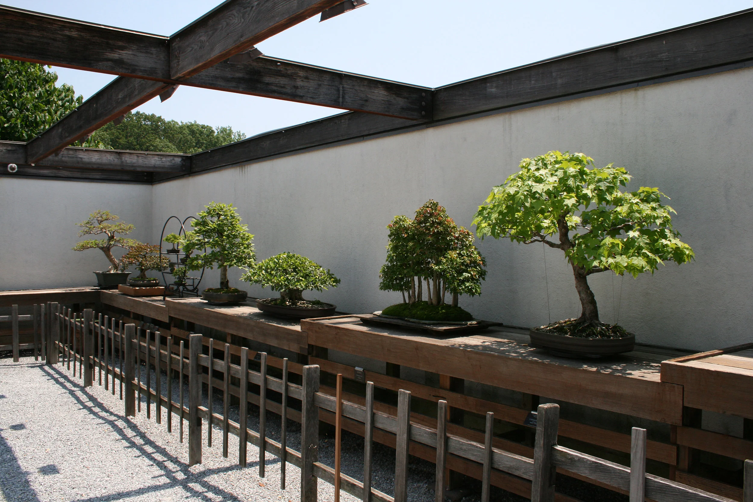National Bonsai Foundation Bonsai Museum Washington DC
