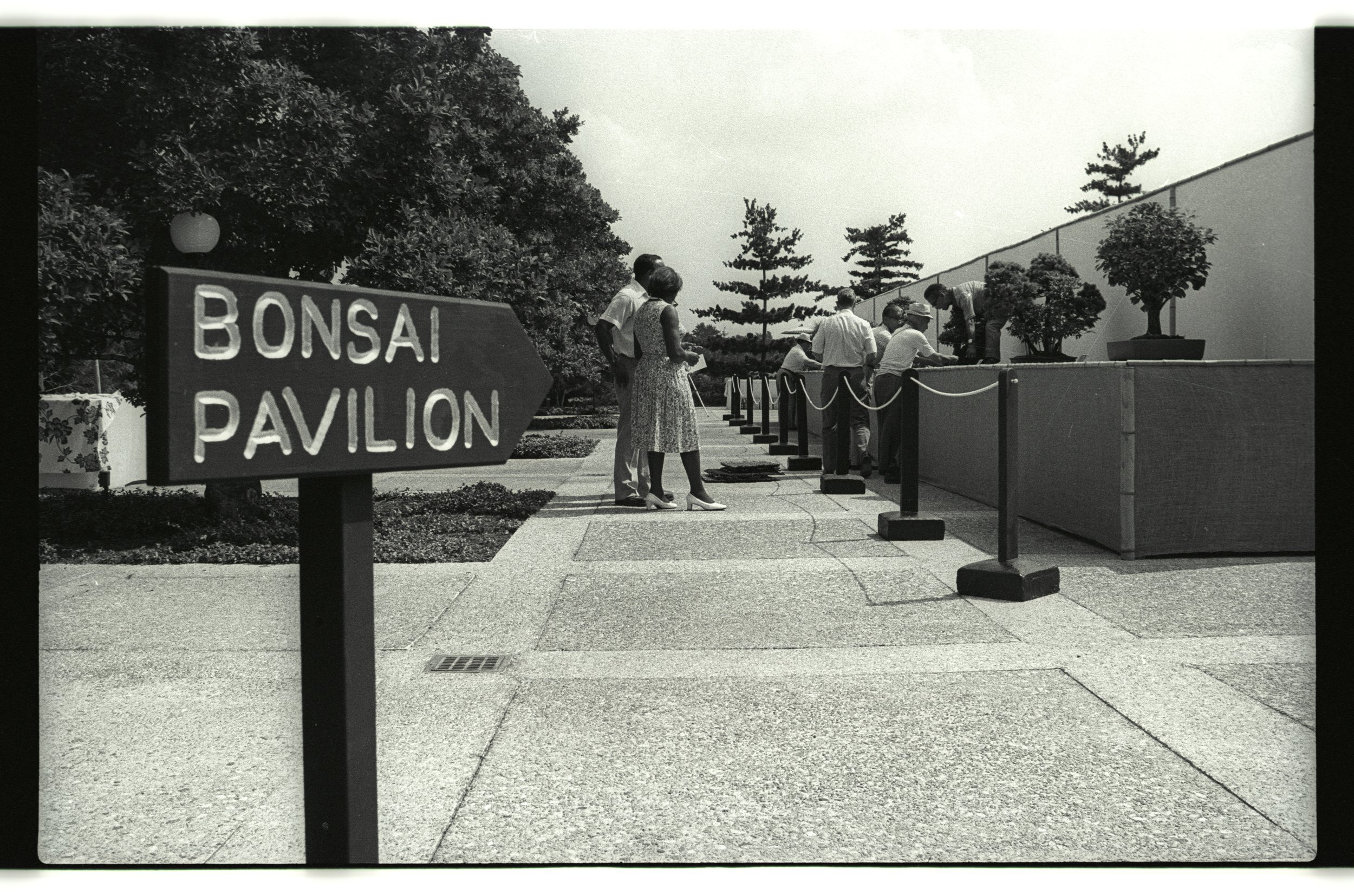 Museum Opening in July 1976