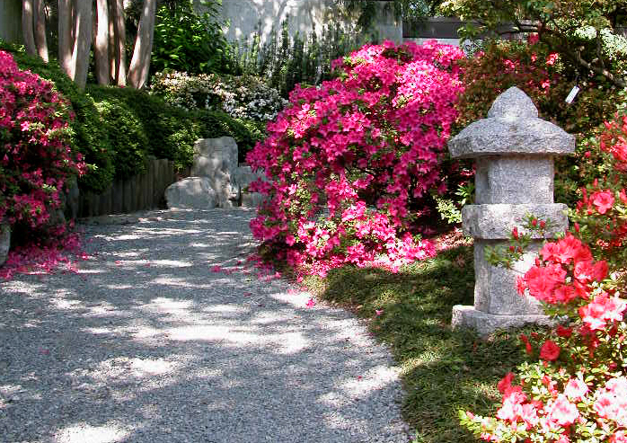 5 May - Stone lantern in stroll garden.jpg