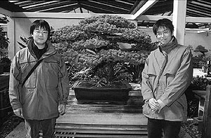 Yamaki brothers in front of bonsai tree