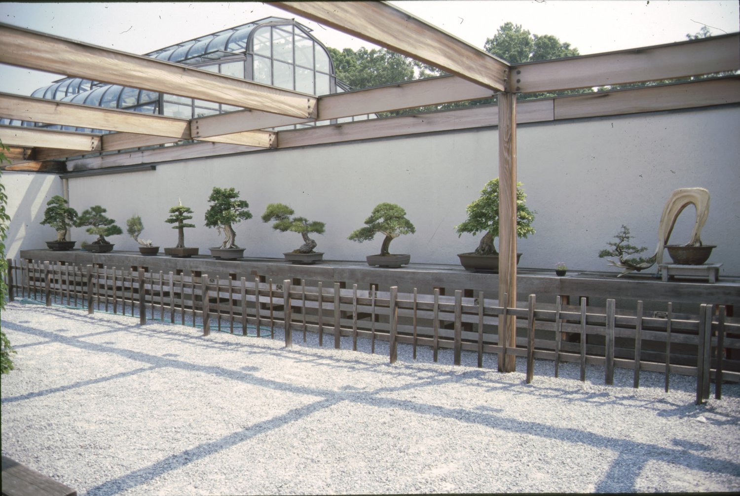 Bonsai & Penjing Museum Collections in DC — National Bonsai Foundation
