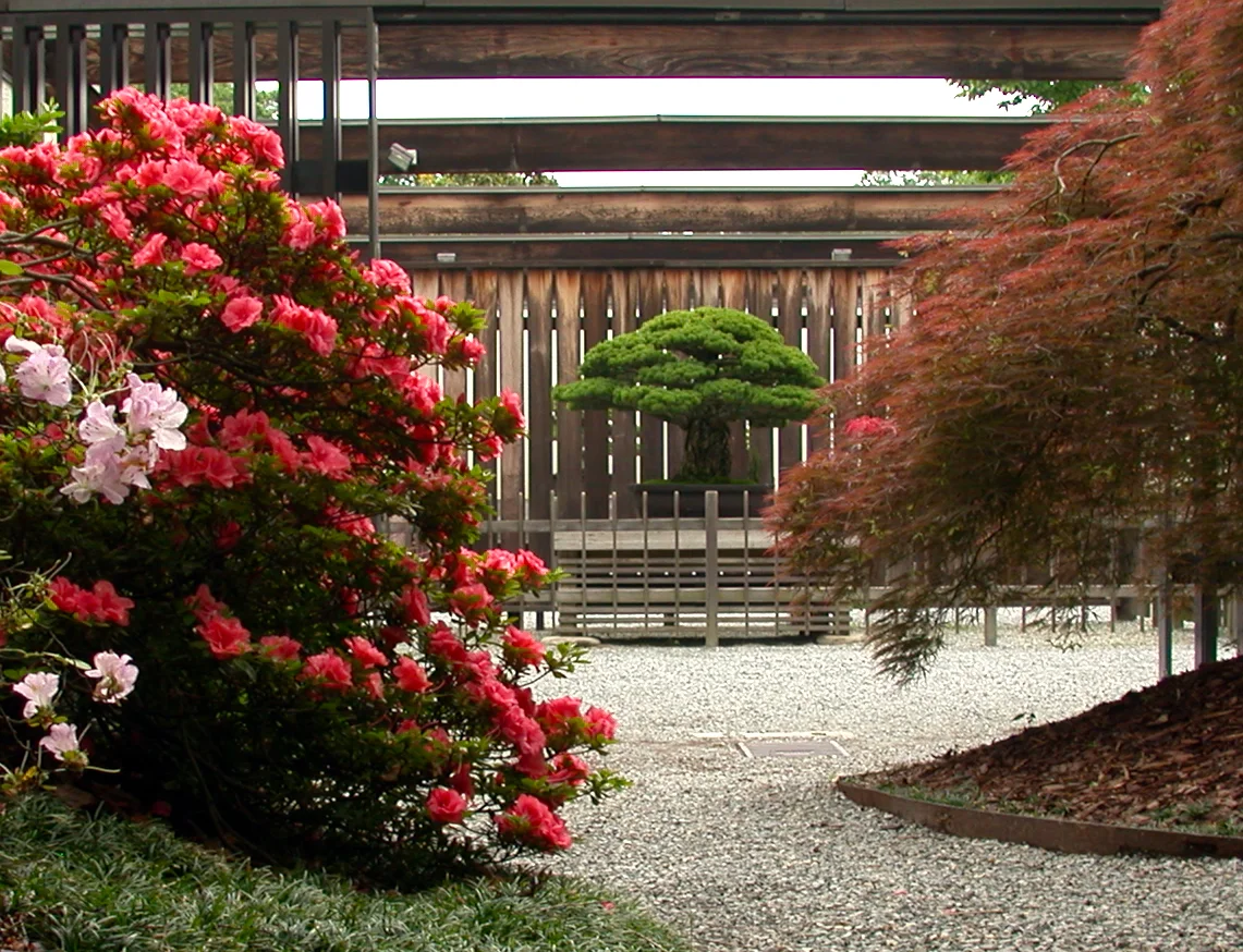 Location & Hours  National Bonsai Foundation