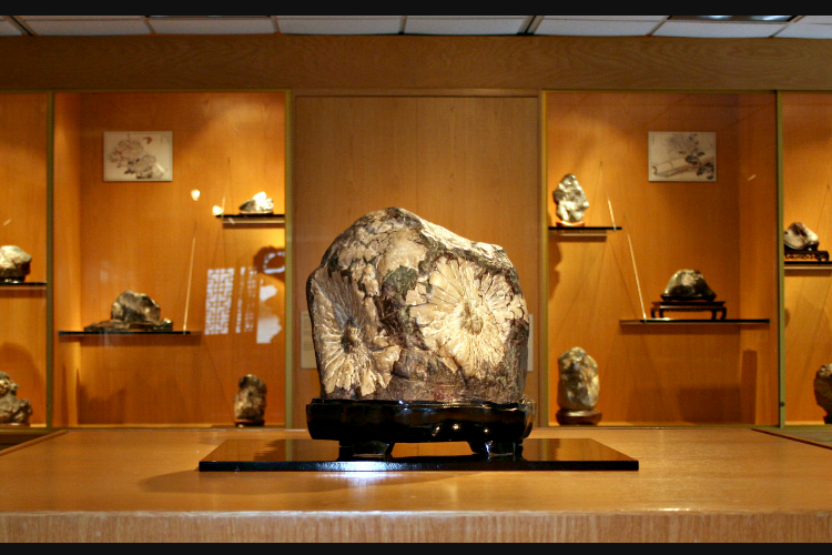 Viewing Stone Collection