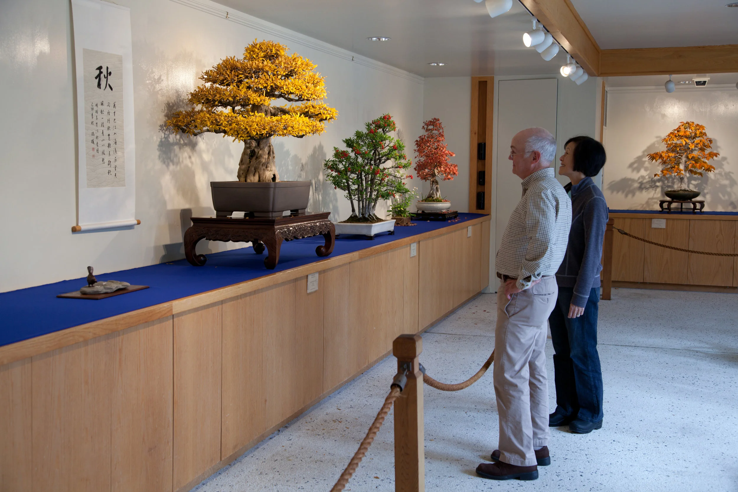Museum goers