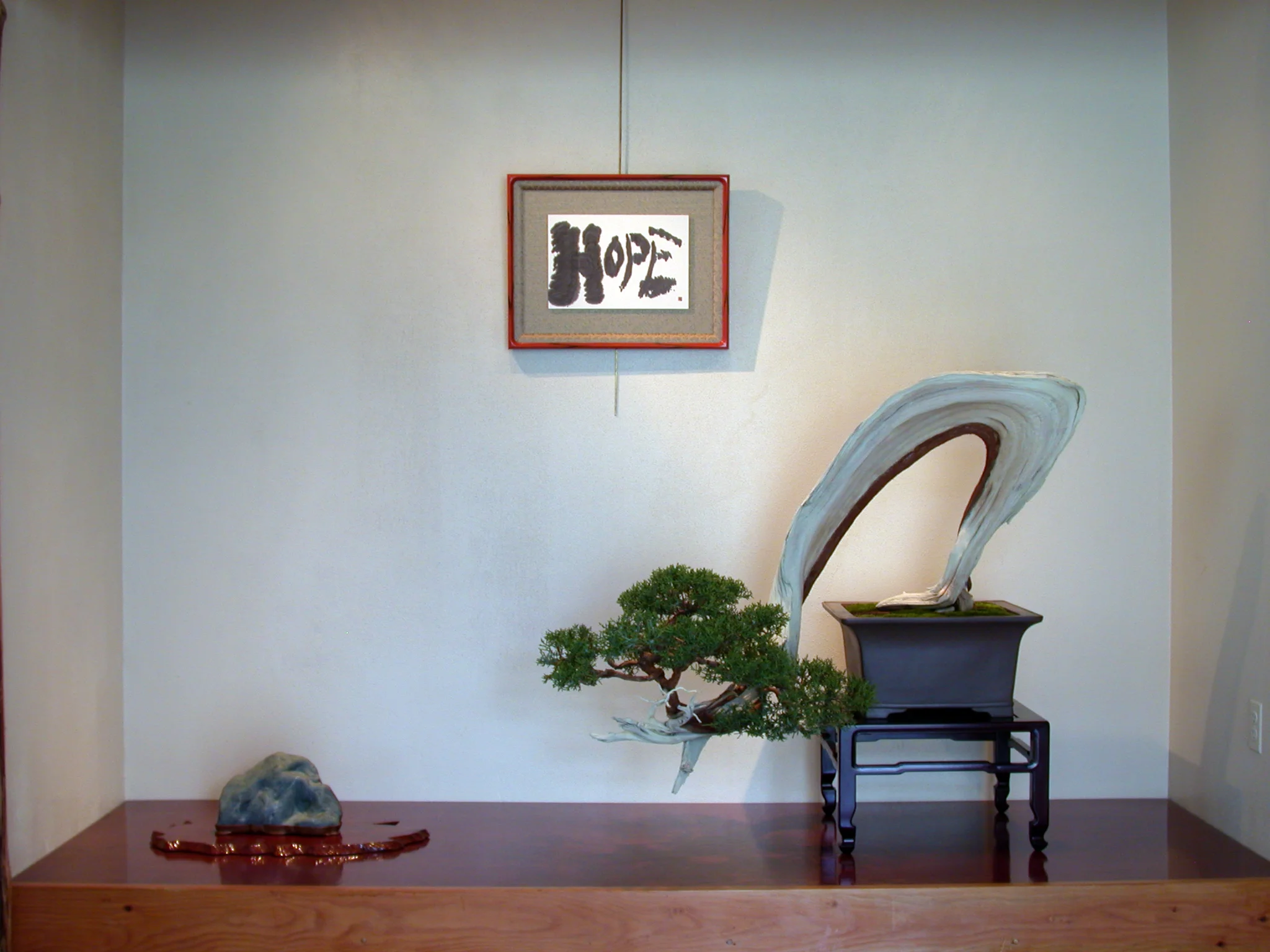Oh Wow tree 2003.jpg