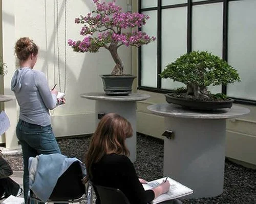 Art+class+in+tropicals+200704_002.jpg