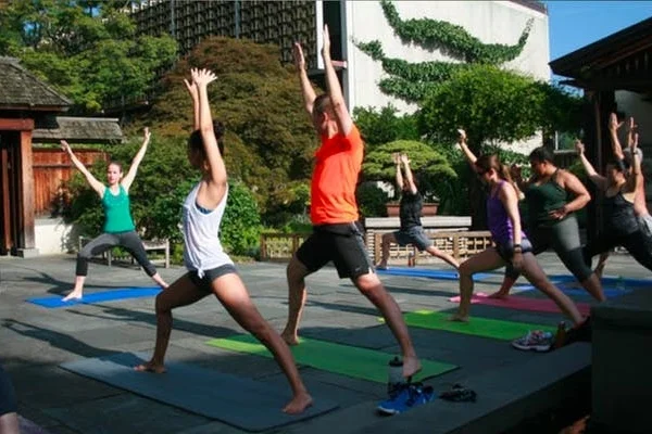 Yoga Amongst the Bonsai