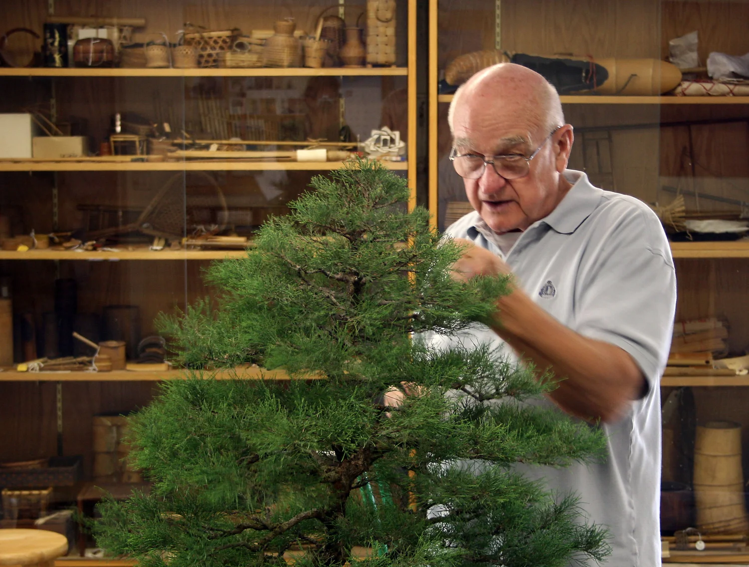 The Museum — National Bonsai Foundation