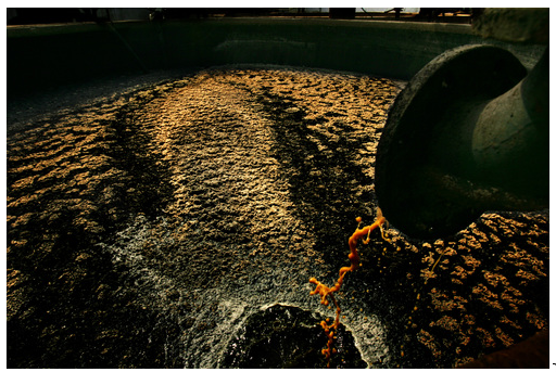 (Voss) Pollution enters the river in Zhengzhou, China.