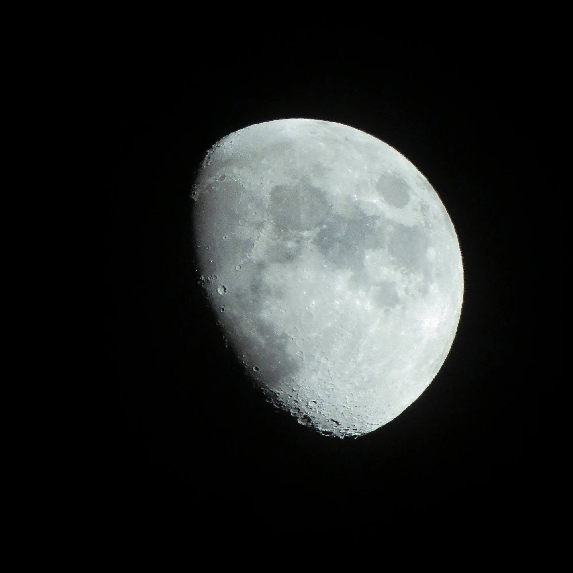 Otsukimi Moon Viewing