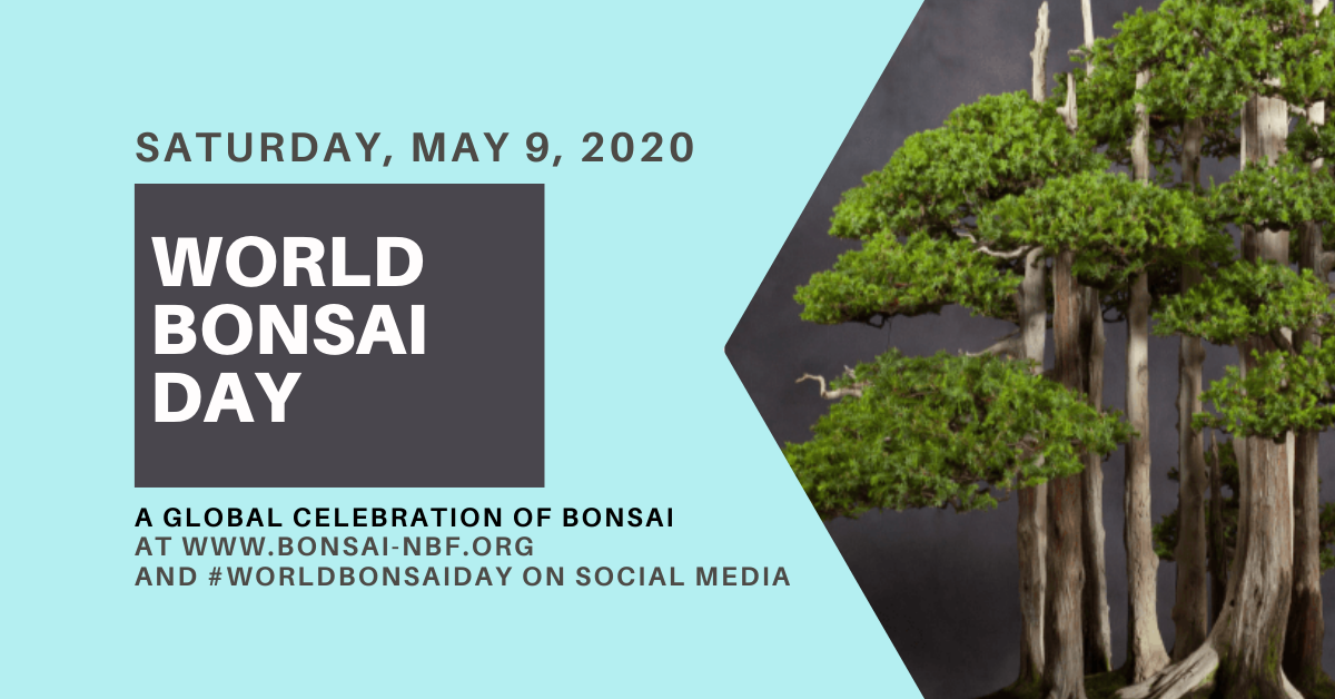 World Bonsai Day
