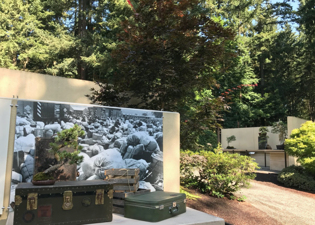 Bonsai Around The World The Pacific Bonsai Museum National Bonsai Foundation