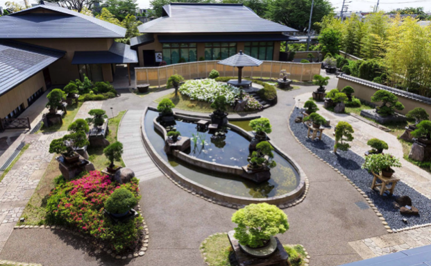 Bonsai Around the World: The Omiya Bonsai Art Museum in Japan  National  Bonsai Foundation