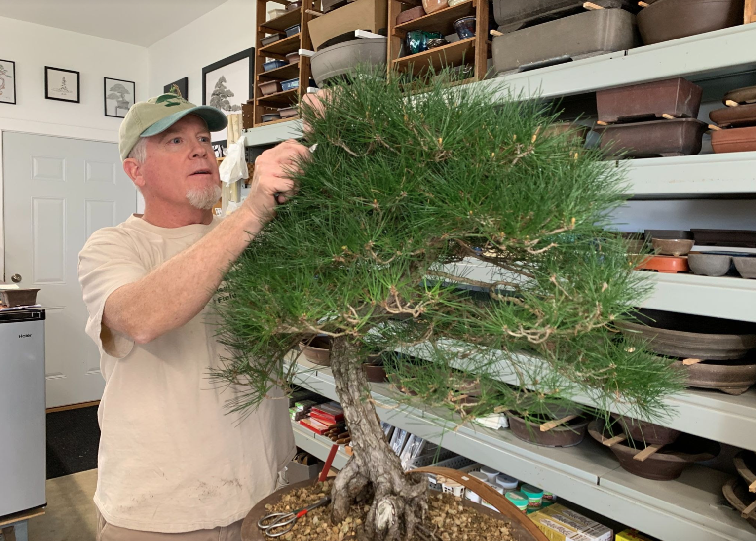 The Bonsai Board: Mark Fields