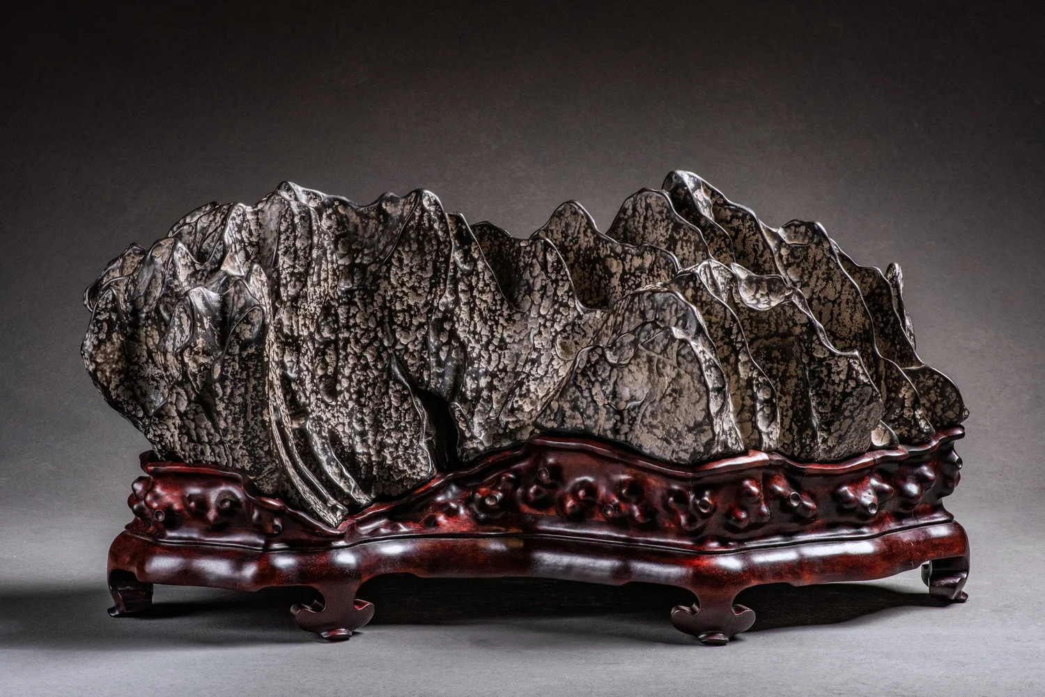 National Bonsai Foundation Publishes Beautiful New Art Book 