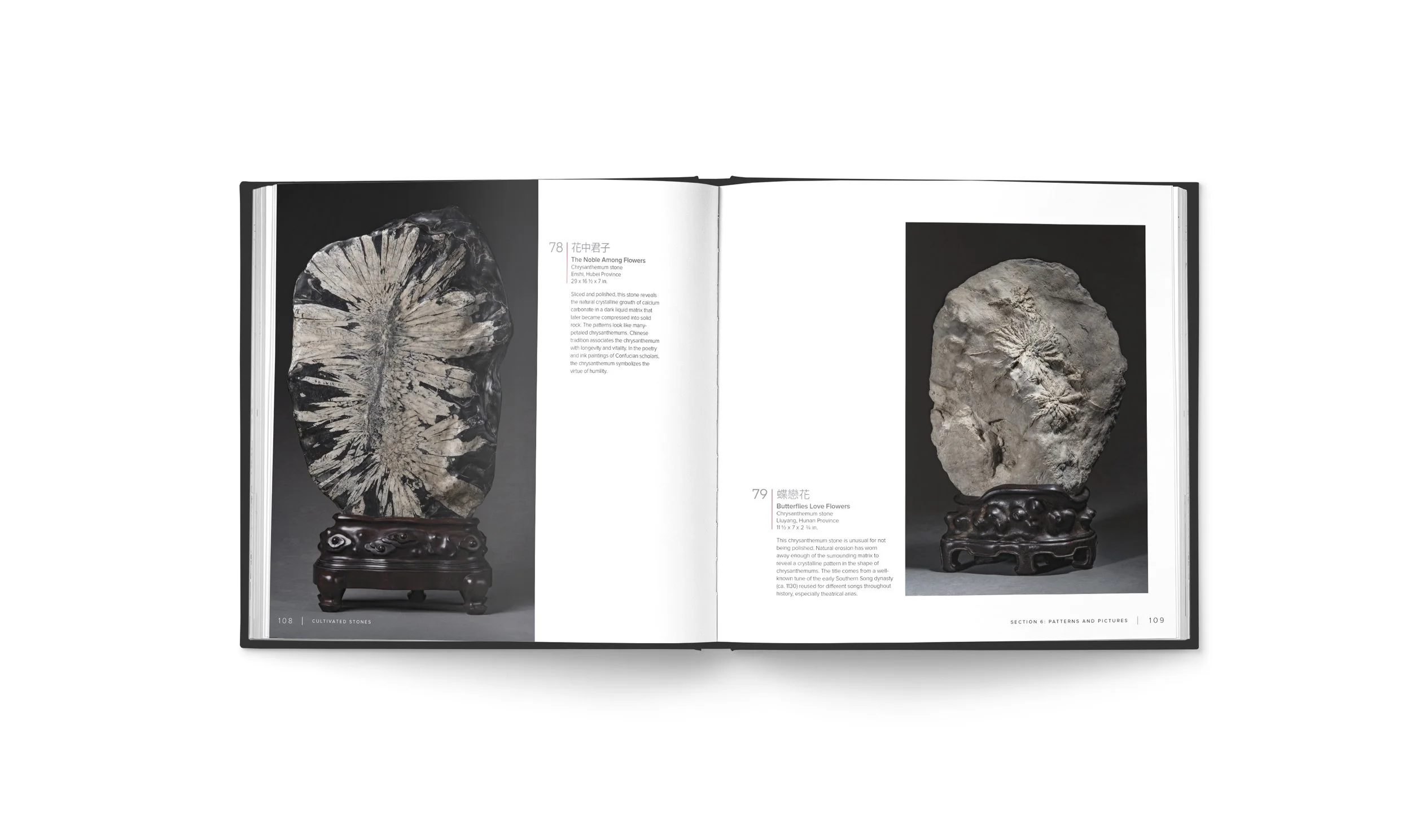 アート・デザイン・音楽 the sourcebook of decorative stone 