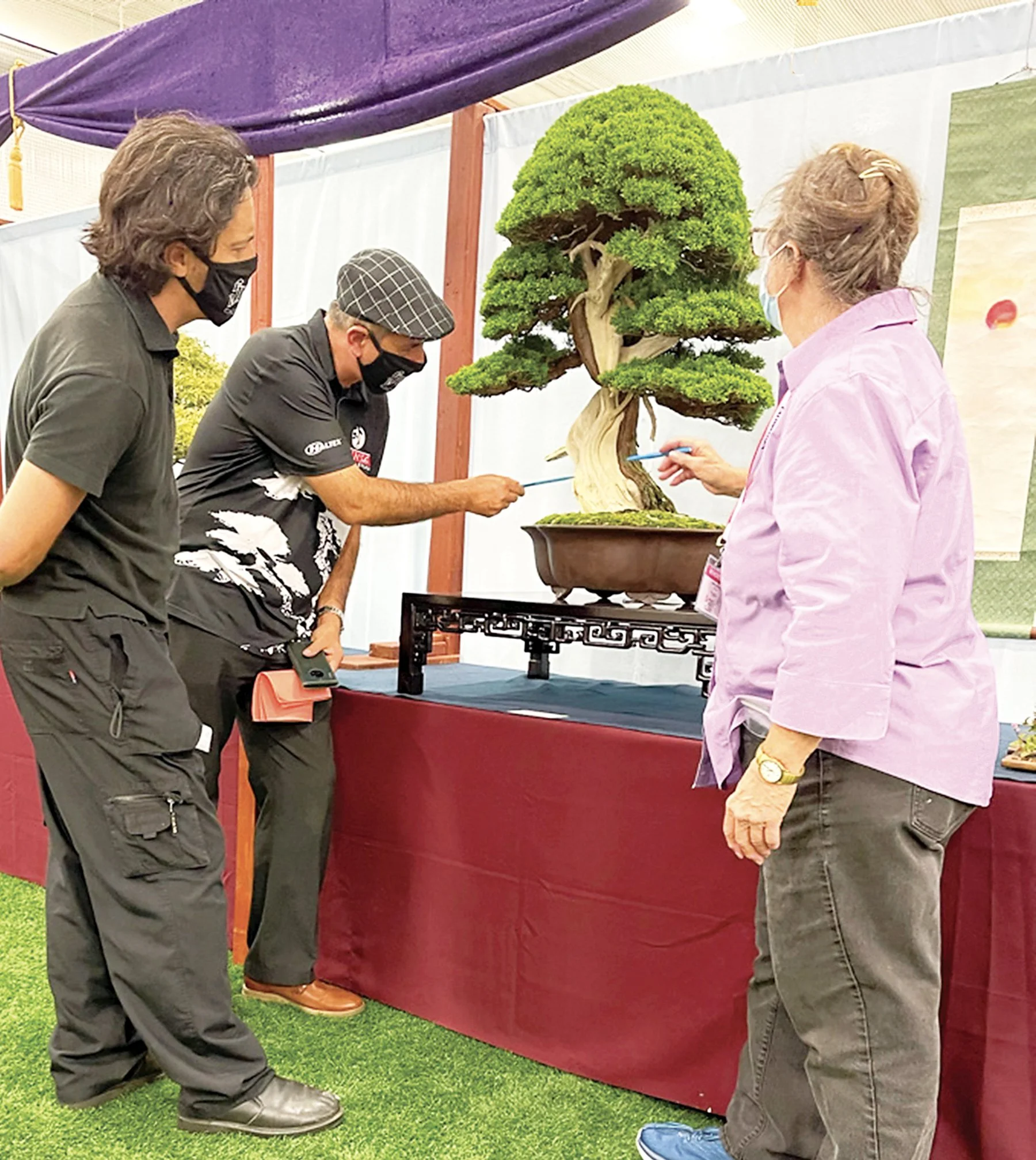 8th U.S. National Bonsai Exhibition Comes to Rochester, NY