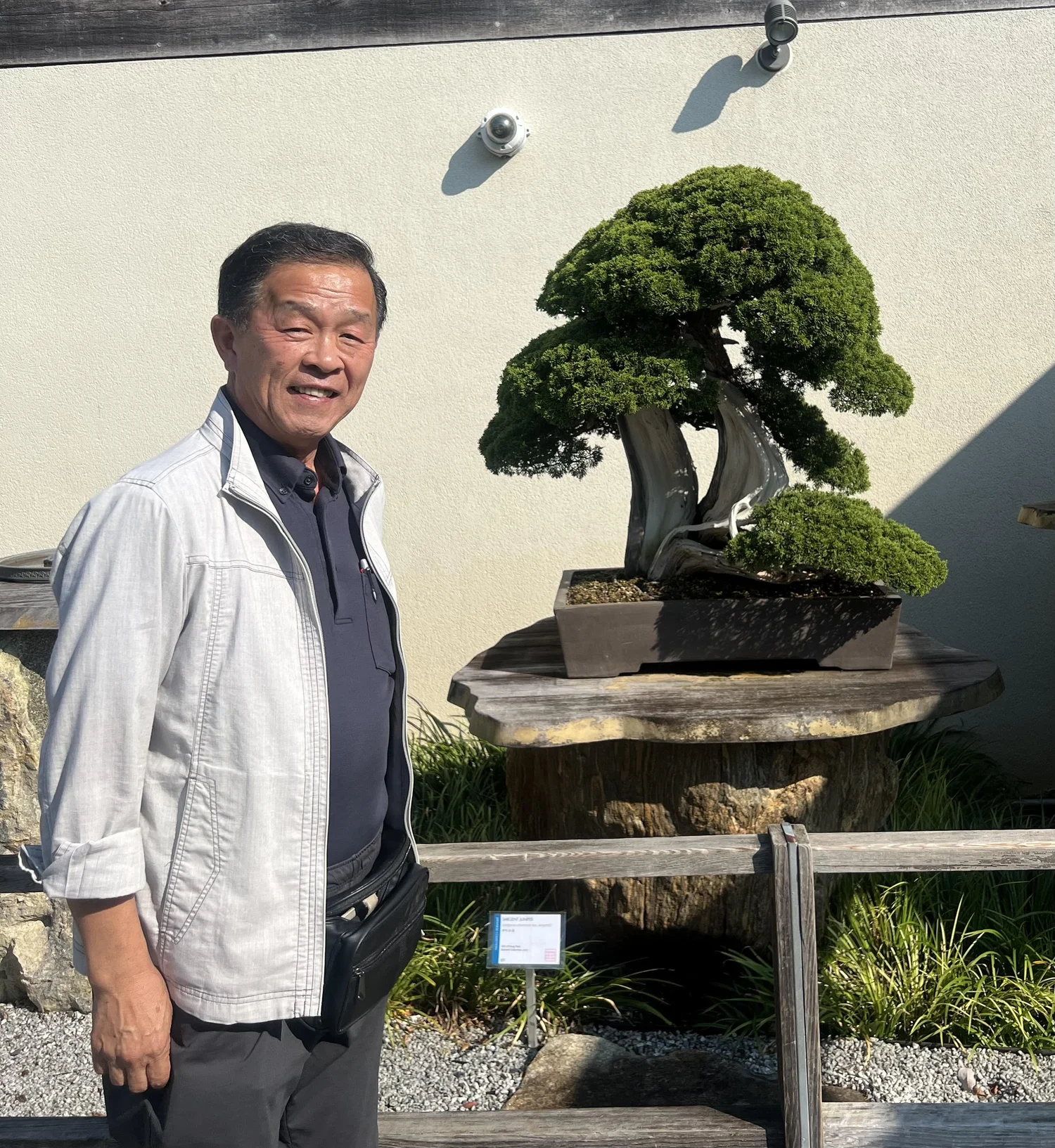 Seiji Morimae visits the National Bonsai and Penjing Museum — National  Bonsai Foundation