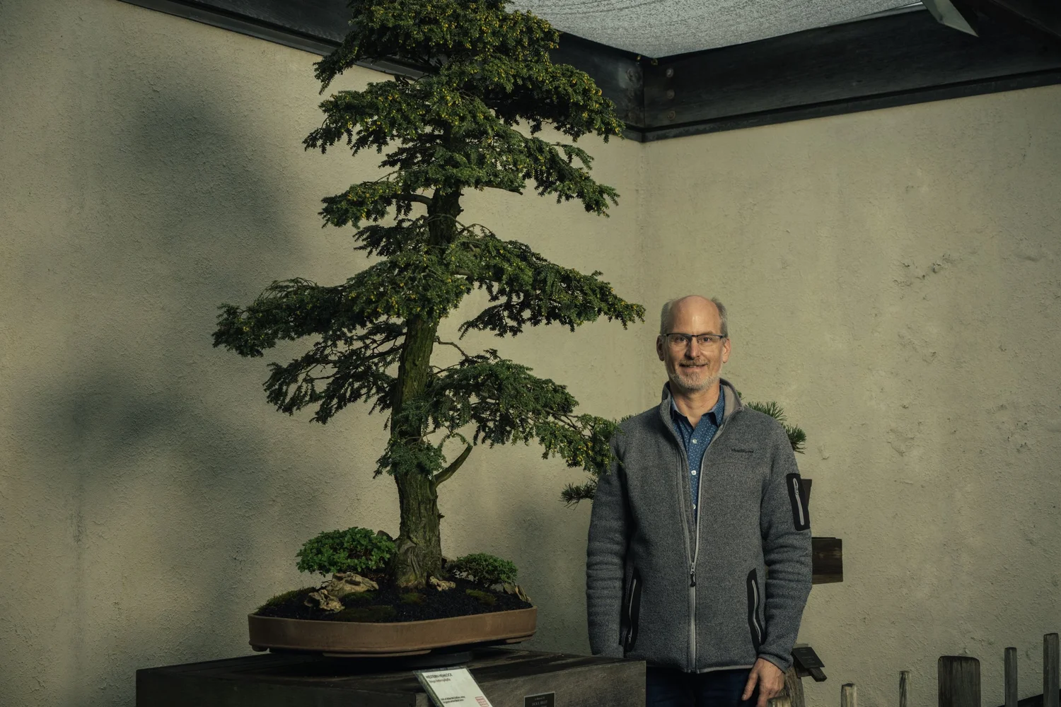 This Western Hemlock Went from a Backyard to a Bonsai Museum