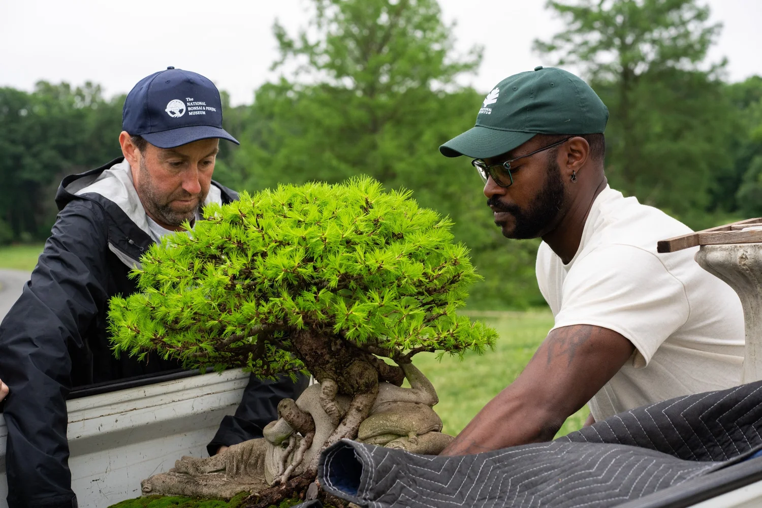 Applications Open: National Bonsai Apprenticeship  National Bonsai  Foundation